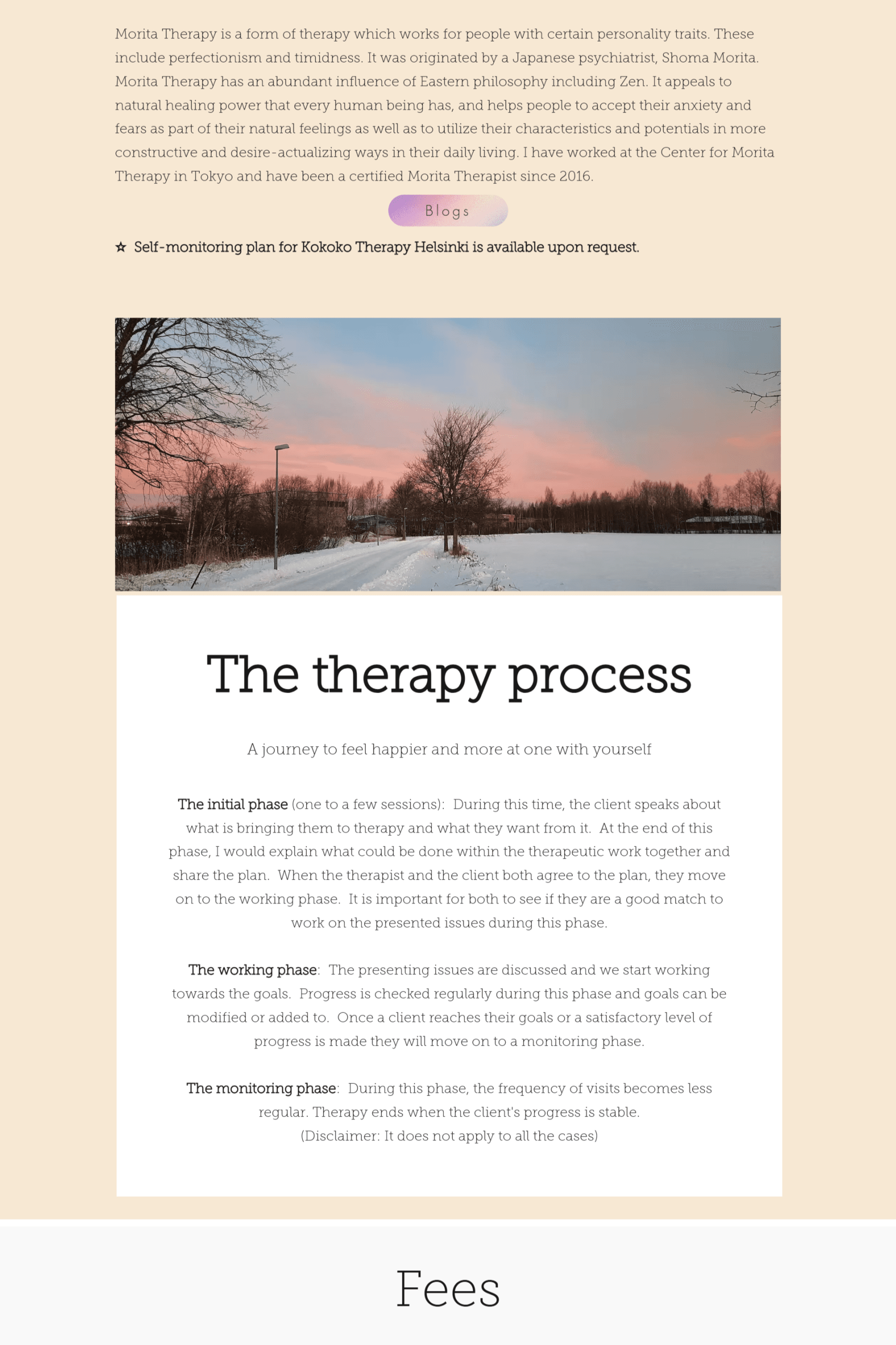 kokoro-therapy-page-three-before kokoro-therapy-page-three-before